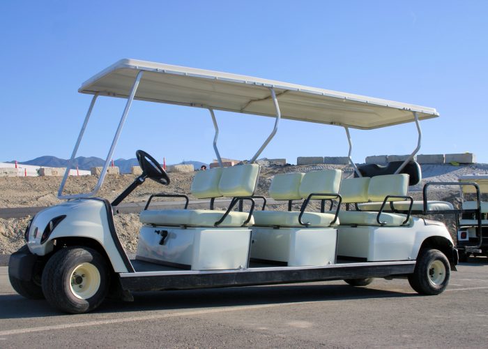 Multi passenger golf cart